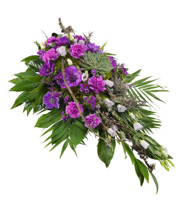 Violet Spray