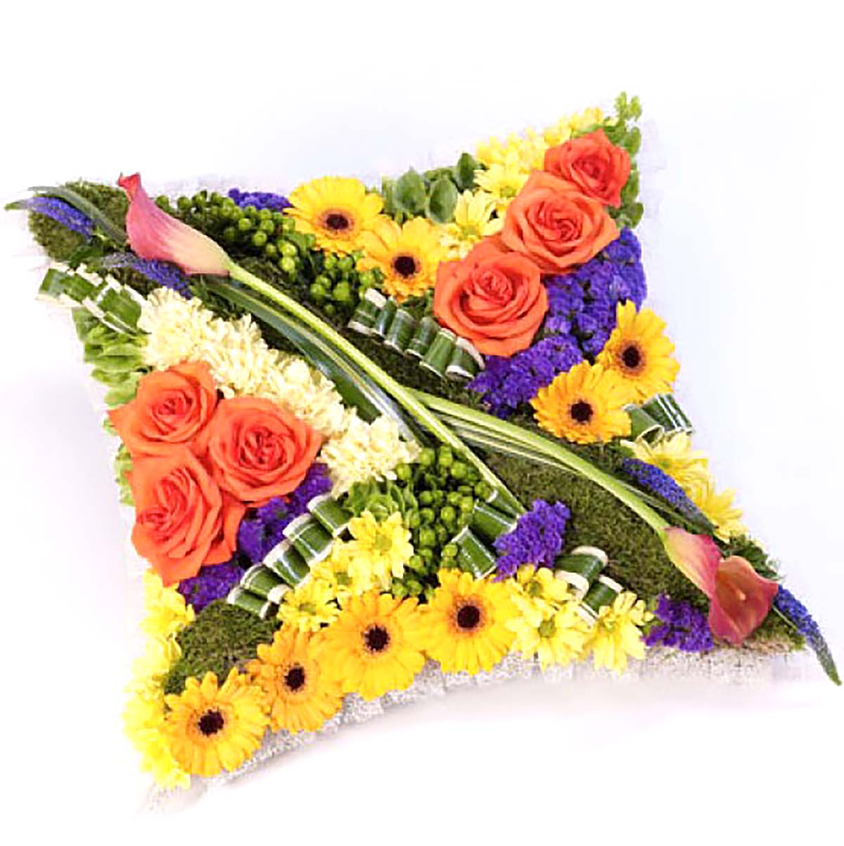 Vibrant Contemporary Cushion